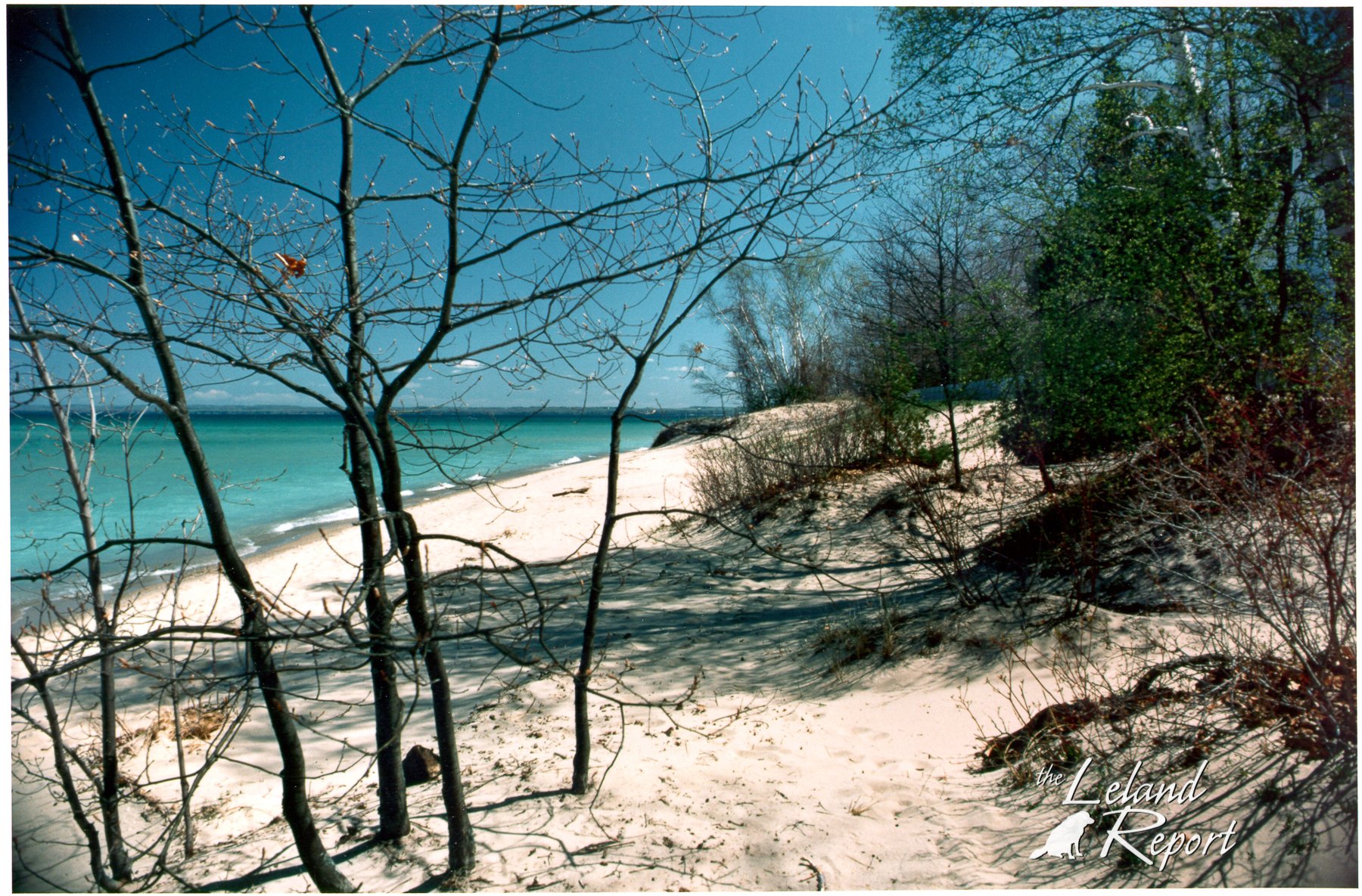 Michigan Beach