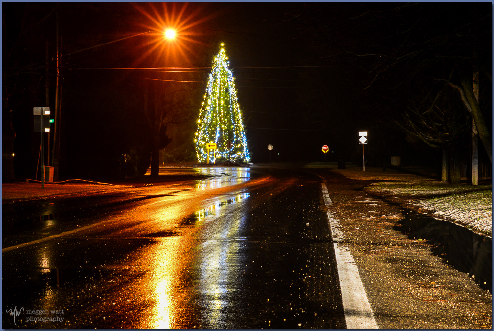 TLR-20161205-Christmas Tree Corner-Night-7019