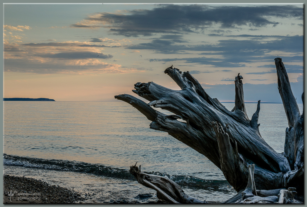 TLR-20170529-driftwood At Sunset-9150