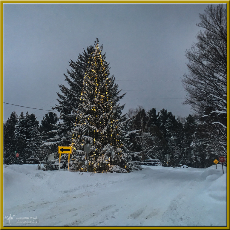 TLR-20180101-Christmas Tree Corner New Years Eve Vans-9253
