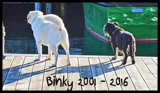 Binky8-17-16