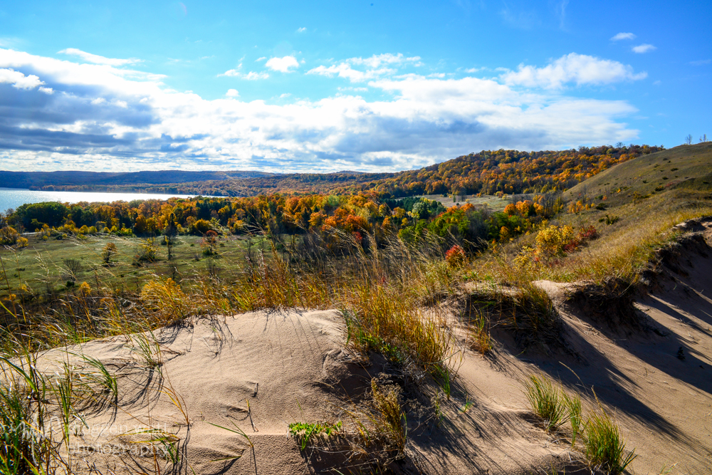 Fall Color Dune1-8684