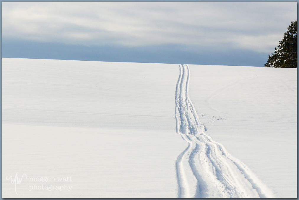 Snow Leelanau County Tracks-0208-tlr