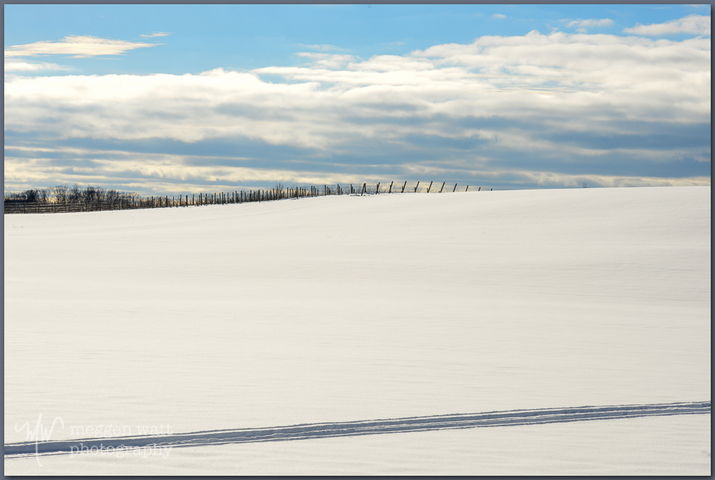 Snow Leelanau County Tracks-0213-tlr